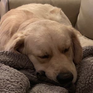 Meet your Posher, Paul